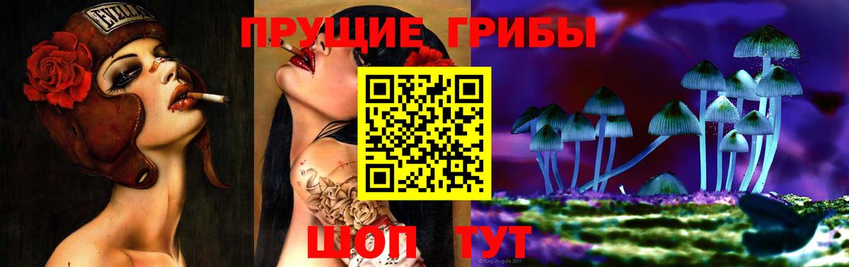 Людиново  как найти   Псилоцибиновые грибы Cubensis  Вход с VPN  Галлюциногенные грибы прущие грибы 