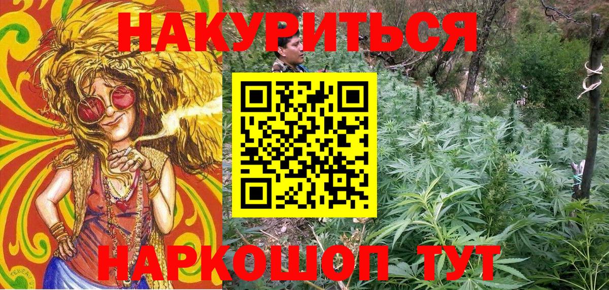 Конопля White Widow  Канабис тримм  Людиново  МАРИХУАНА сатива  Вход с VPN 